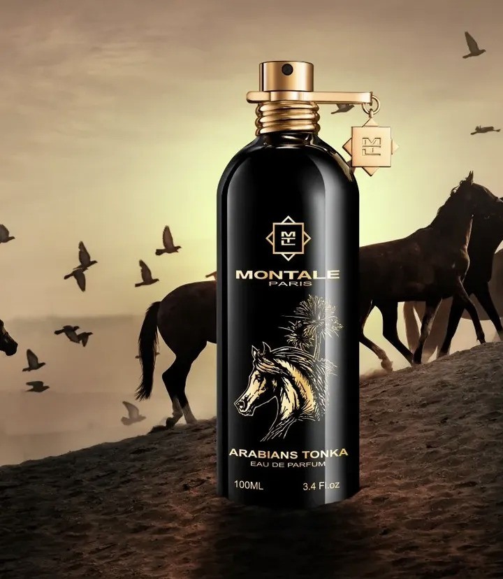 Arabians Tonka de Montale